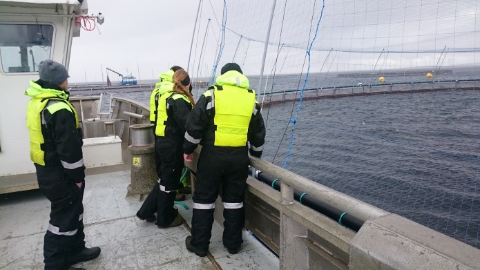 Persons standing on a boat with working uniforms